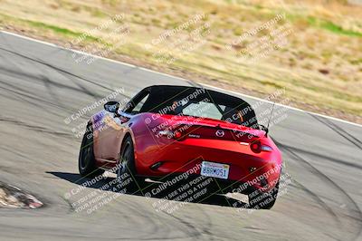 media/Mar-23-2025-West Coast Racing (Sun) [[de161b708f]]/Blue Group/Session 3 (Turns 3 and 5)/